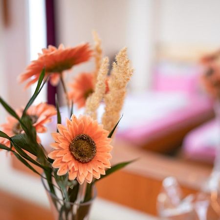 Hotel Holiday-M โอครีด ภายนอก รูปภาพ
